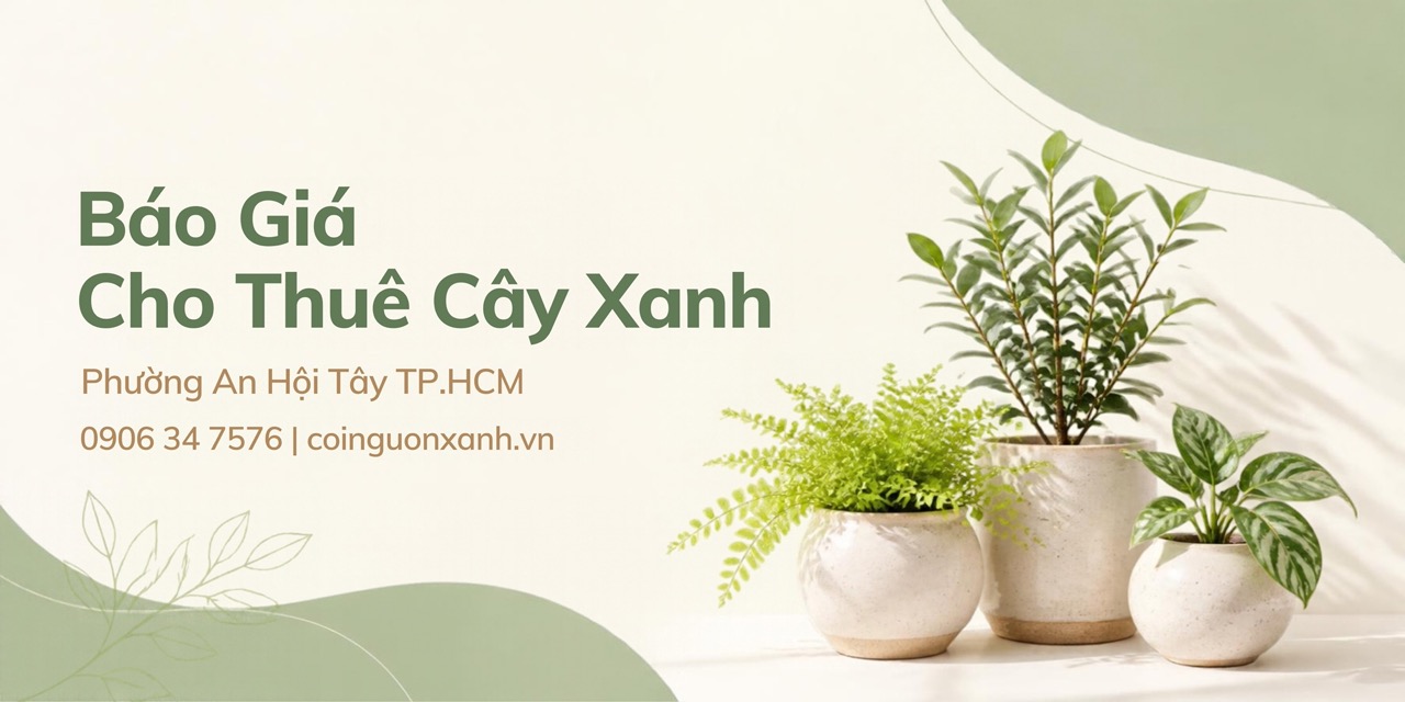 Báo giá cho thuê cây xanh ở Phường An Hội Tây TP.HCM – Giải pháp xanh cho mọi không gian