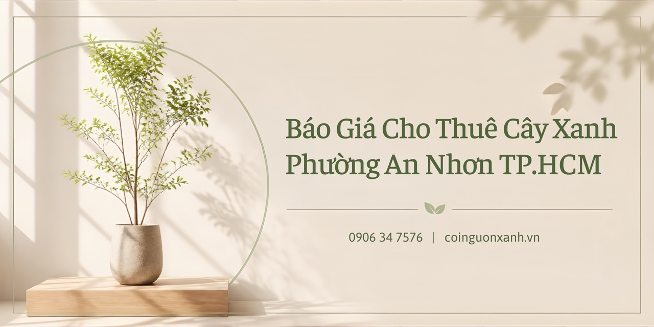 Báo Giá Cho Thuê Cây Xanh Ở Phường An Nhơn TP.HCM