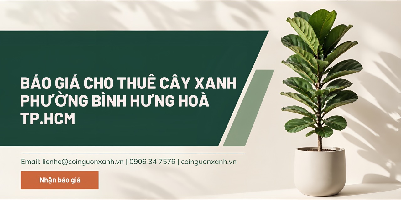 Báo Giá Cho Thuê Cây Xanh Ở Phường Bình Hưng Hòa TP.HCM
