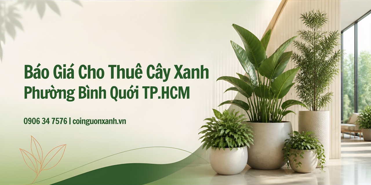 Báo giá cho thuê cây xanh ở Phường Bình Quới TP.HCM
