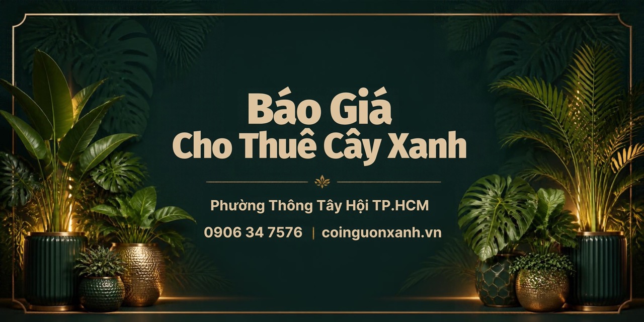 Báo Giá Cho Thuê Cây Xanh Phường Thông Tây Hội TP.HCM Mới Nhất