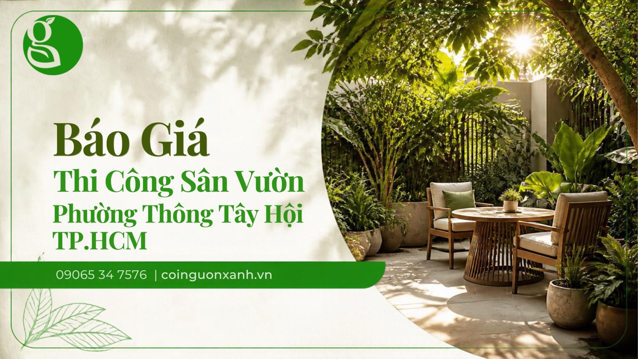 Báo Giá Thi Công Sân Vườn Ở Phường Thông Tây Hội TP.HCM Chi Tiết, Tiết Kiệm