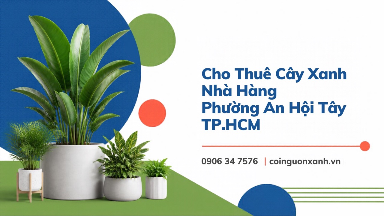 Cho Thuê Cây Xanh Nhà Hàng Ở Phường An Hội Tây TP.HCM – Không Gian Xanh, Sang Trọng