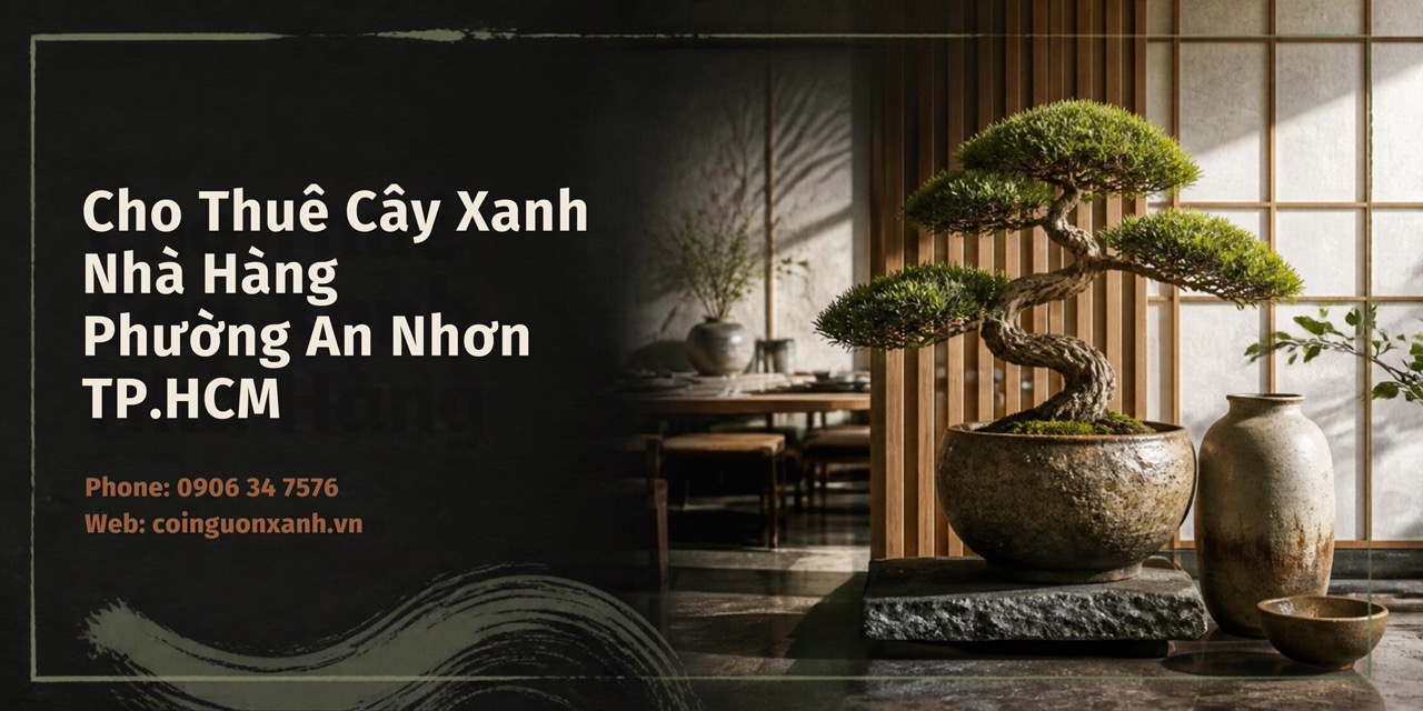 Cho Thuê Cây Xanh Nhà Hàng Ở Phường An Nhơn TP.HCM