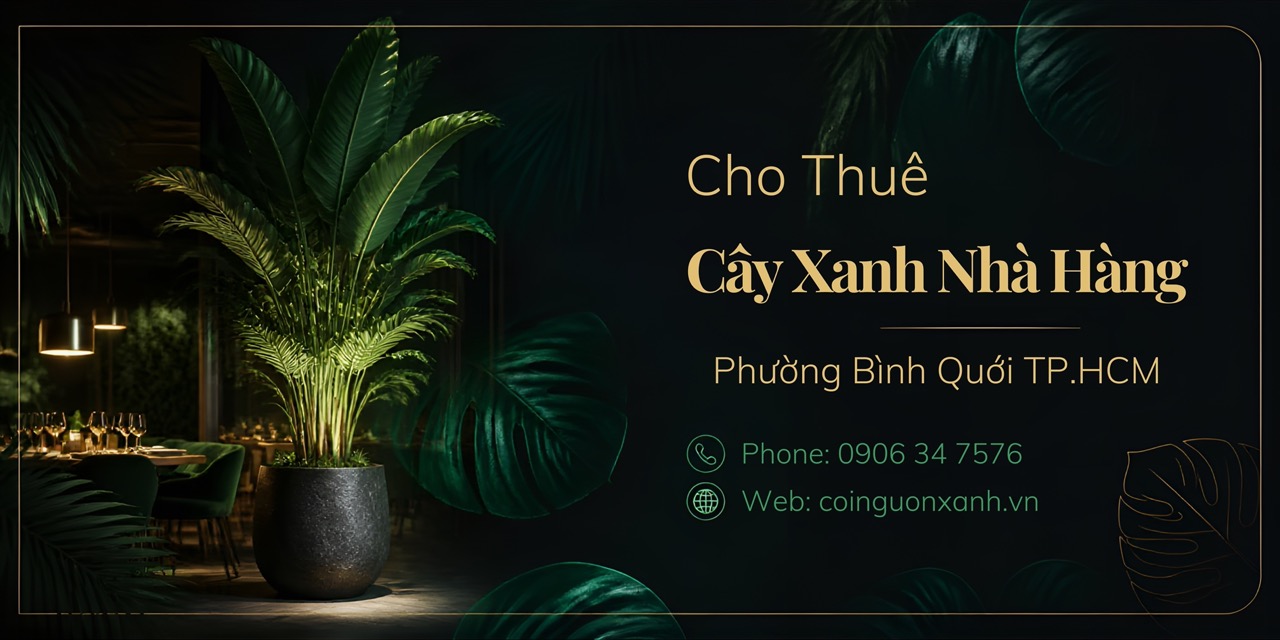 Cho Thuê Cây Xanh Nhà Hàng Ở Phường Bình Quới TP.HCM