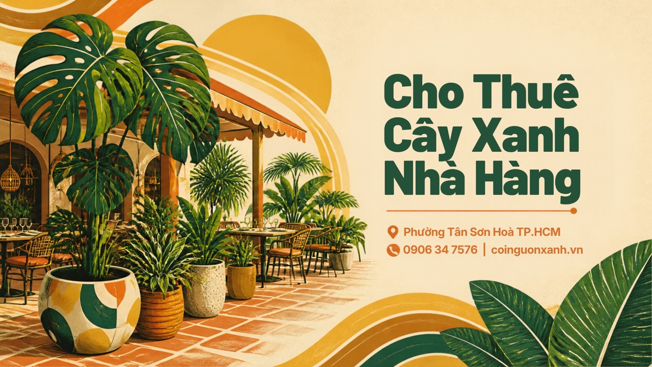 Cho Thuê Cây Xanh Nhà Hàng Ở Phường Tân Sơn Hòa TP.HCM – Không Gian Xanh, Sang Trọng