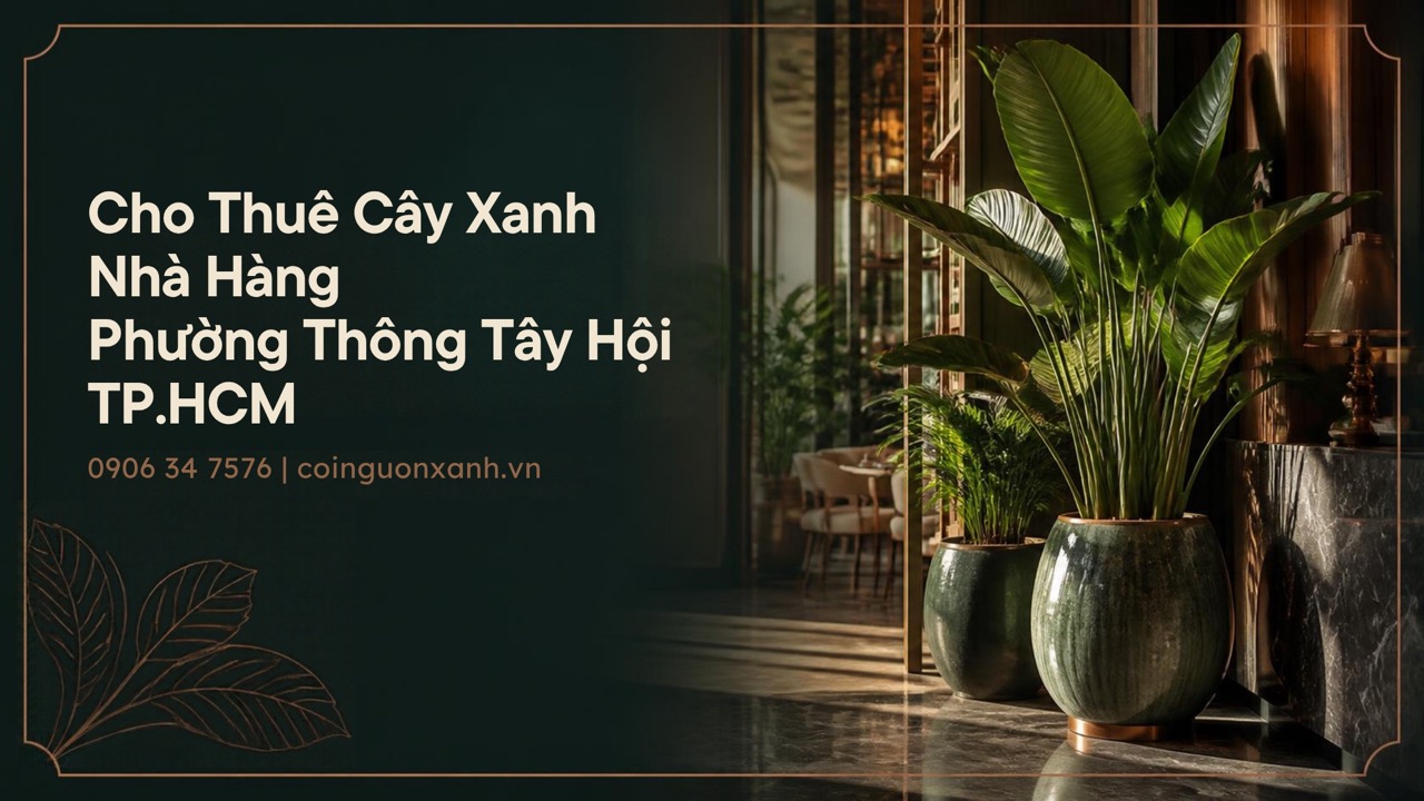 Cho Thuê Cây Xanh Nhà Hàng Ở Phường Thông Tây Hội TP.HCM