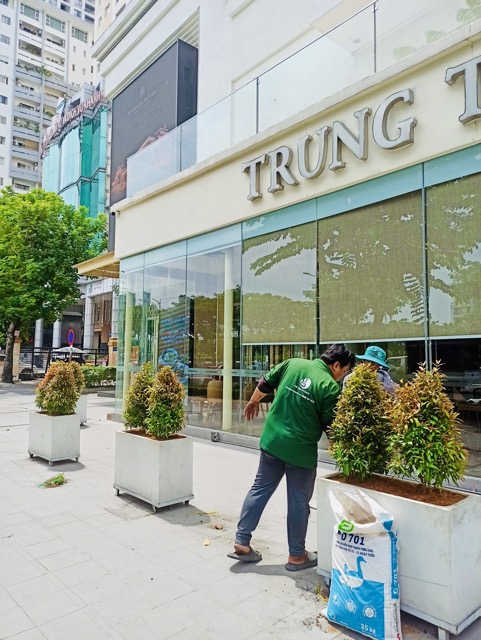 Cho Thuê Cây Xanh Nhà Hàng Tiệc Cưới Ở Phường Khánh Hội TP.HCM