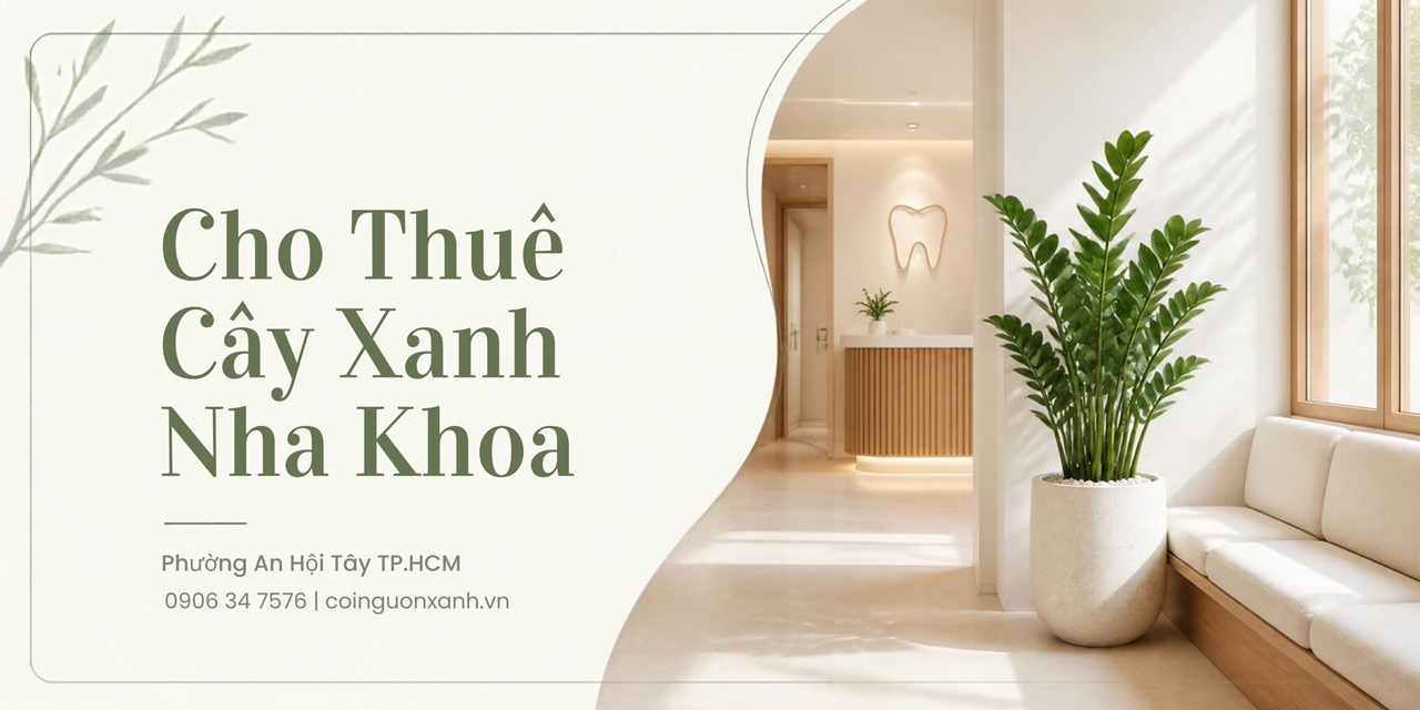 Cho Thuê Cây Xanh Nha Khoa Ở Phường An Hội Tây TP.HCM – Không Gian Xanh, Chuyên Nghiệp