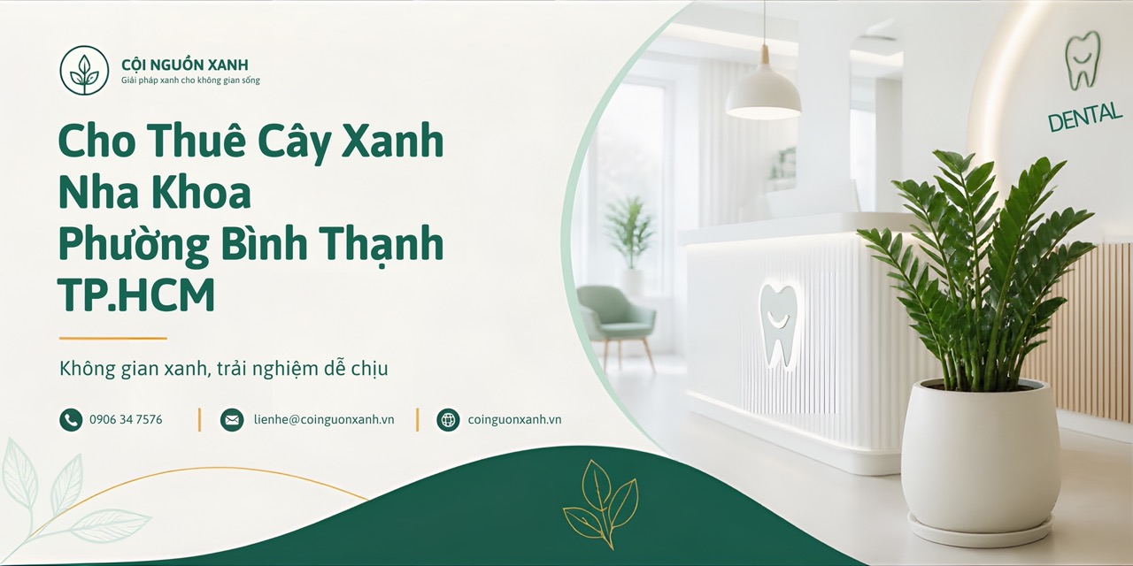 Cho thuê cây xanh nha khoa ở Phường Bình Thạnh TP.HCM