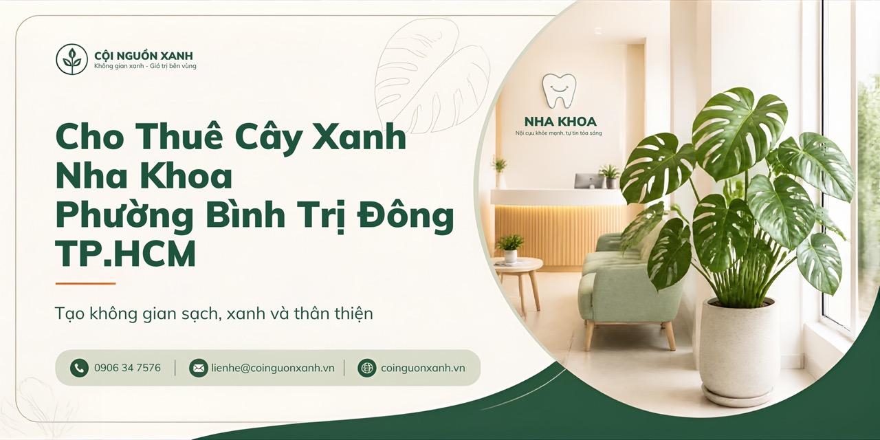 Cho Thuê Cây Xanh Nha Khoa Ở Phường Bình Trị Đông TP.HCM