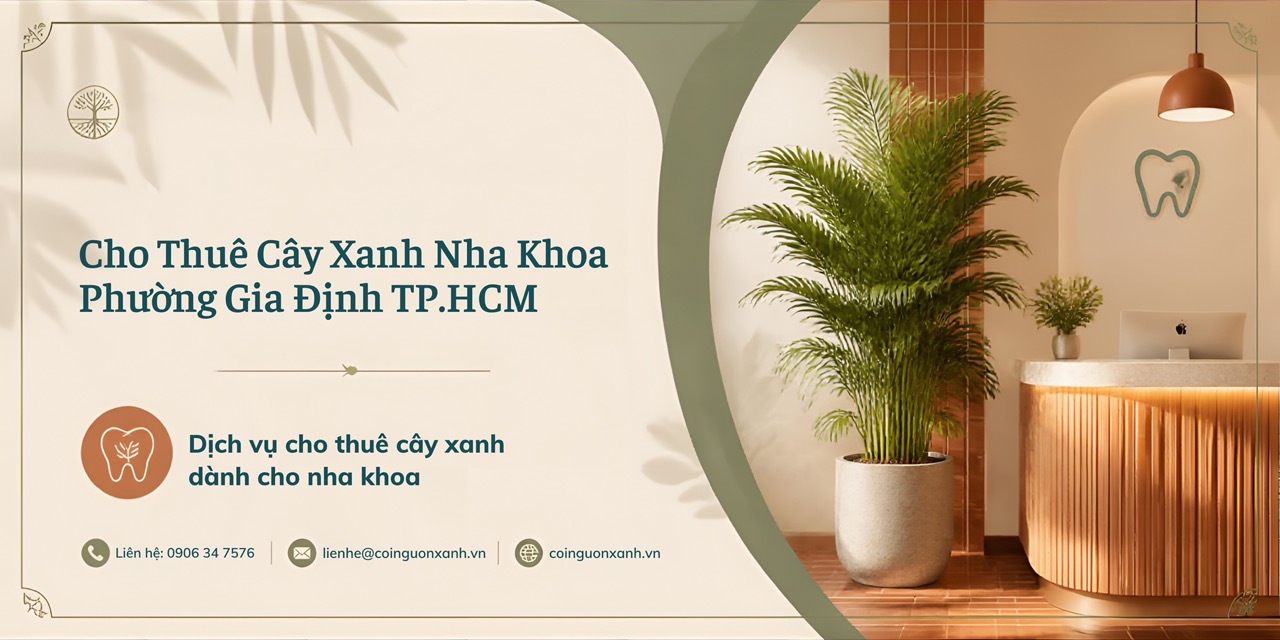 Cho Thuê Cây Xanh Nha Khoa Ở Phường Gia Định TP.HCM