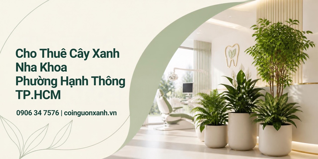 Cho thuê cây xanh nha khoa ở Phường Hạnh Thông TP.HCM