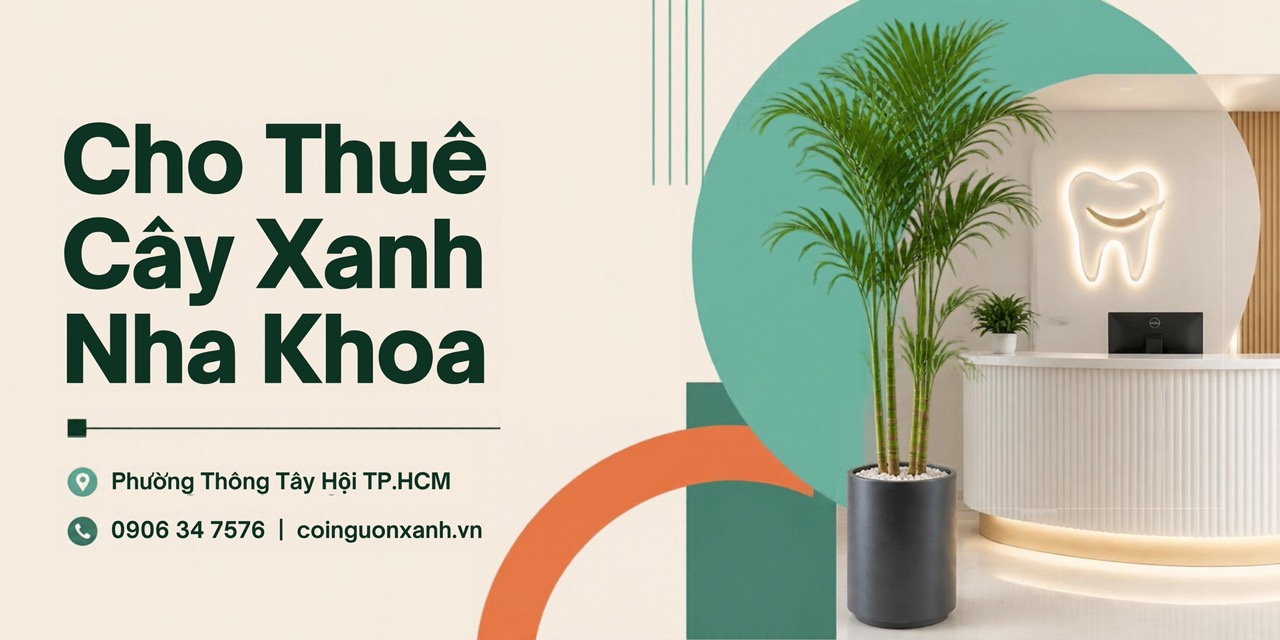 Cho thuê cây xanh nha khoa ở Phường Thông Tây Hội TP.HCM – Không gian xanh chuyên nghiệp, thân thiện