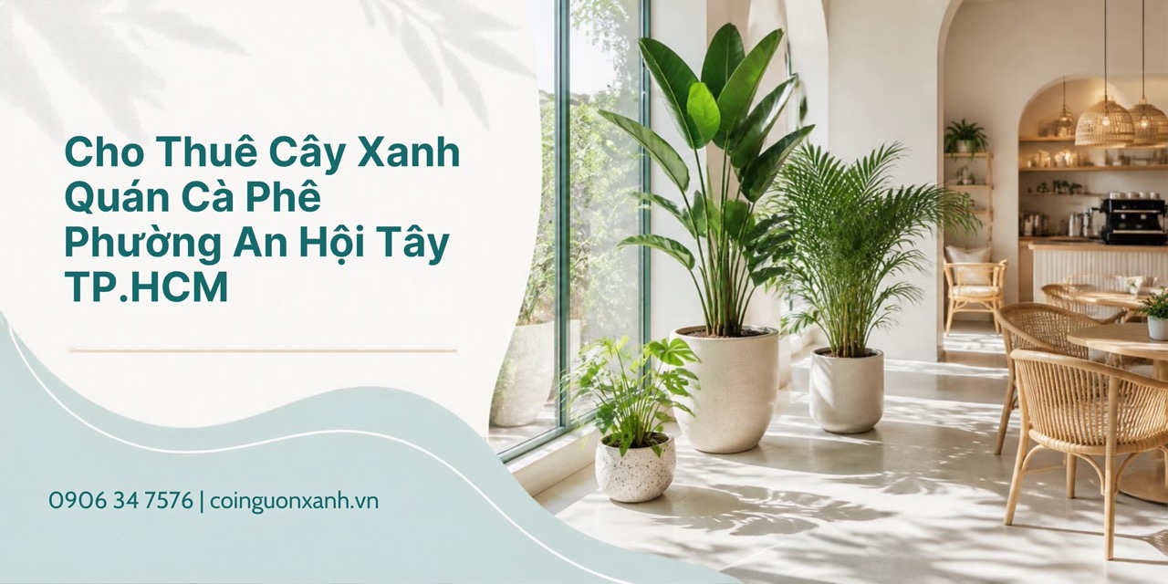 Cho Thuê Cây Xanh Quán Cà Phê Ở Phường An Hội Tây TP.HCM – Không Gian Xanh Đẹp, Thu Hút Khách Hàng