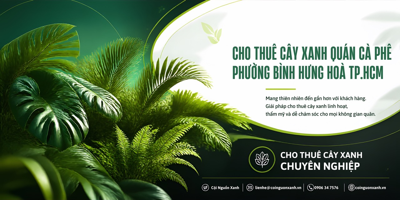 Cho Thuê Cây Xanh Quán Cà Phê Ở Phường Bình Hưng Hòa TP.HCM