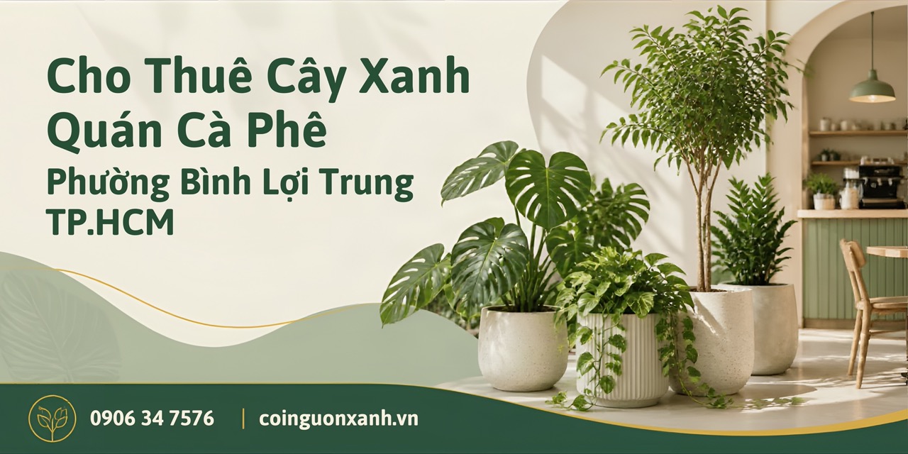 Cho Thuê Cây Xanh Quán Cà Phê Ở Phường Bình Lợi Trung TP.HCM