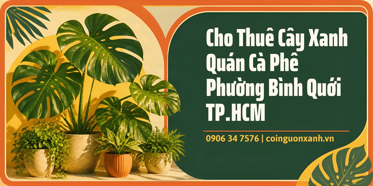 Cho Thuê Cây Xanh Quán Cà Phê Ở Phường Bình Quới TP.HCM