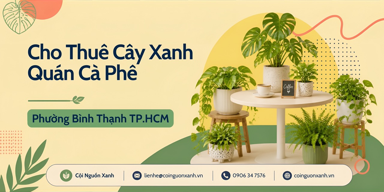 Cho Thuê Cây Xanh Quán Cà Phê Ở Phường Bình Thạnh TP.HCM