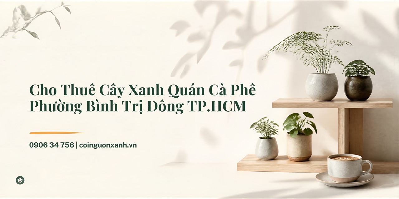 Cho Thuê Cây Xanh Quán Cà Phê Ở Phường Bình Trị Đông TP.HCM