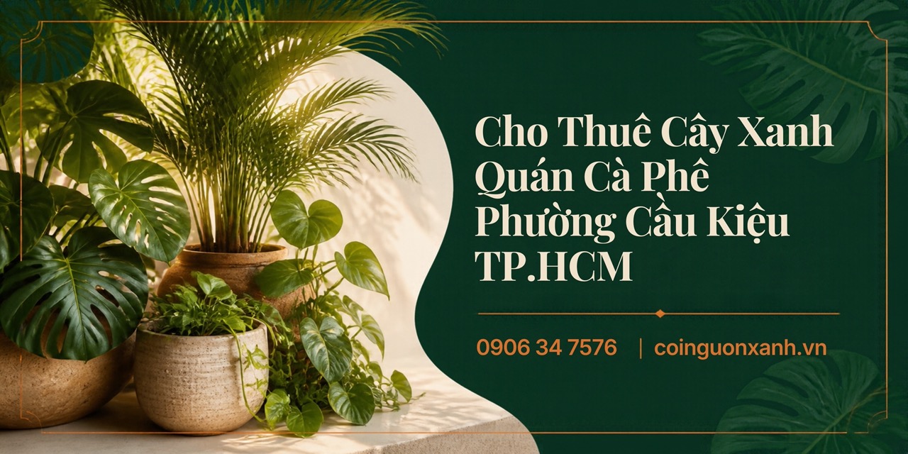 Cho Thuê Cây Xanh Quán Cà Phê Ở Phường Cầu Kiệu TP.HCM – Không Gian Xanh, Thu Hút Khách Hàng