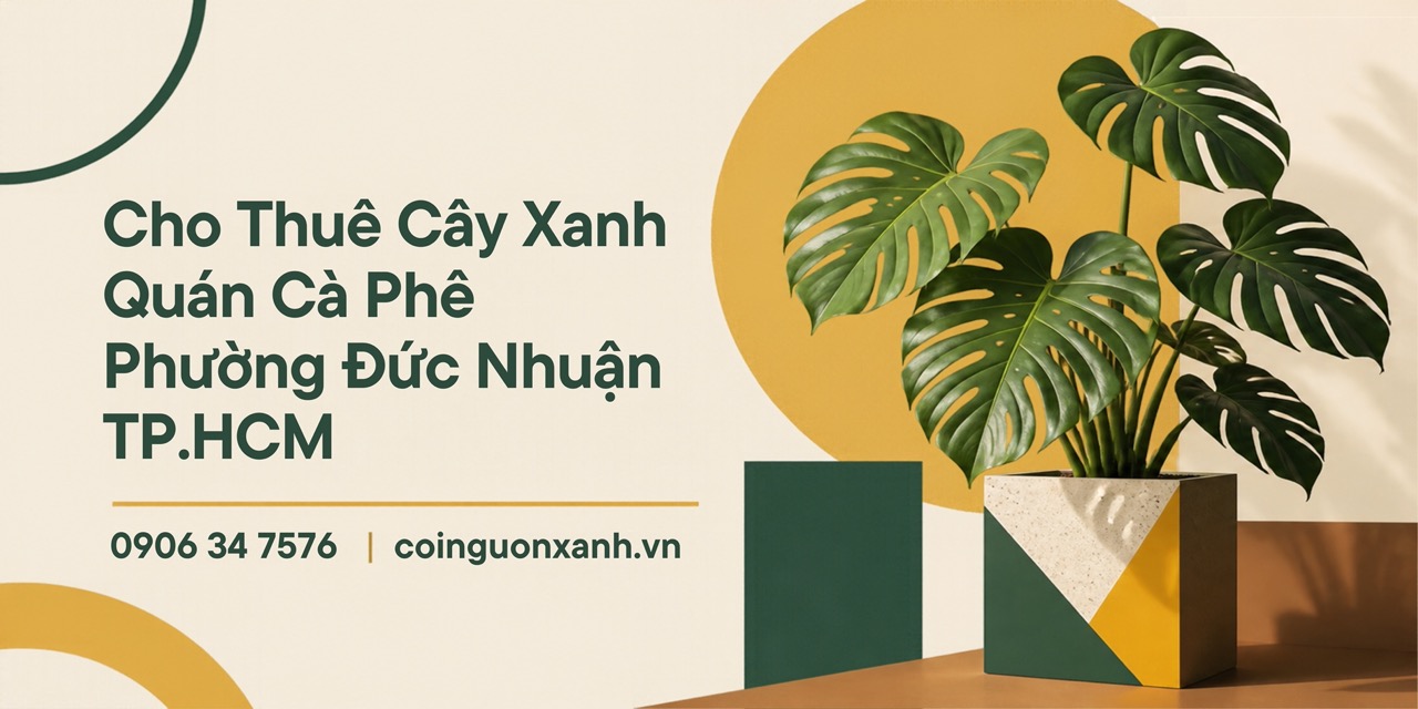 Cho Thuê Cây Xanh Quán Cà Phê Ở Phường Đức Nhuận TP.HCM – Không Gian Xanh, Thu Hút Khách Hàng