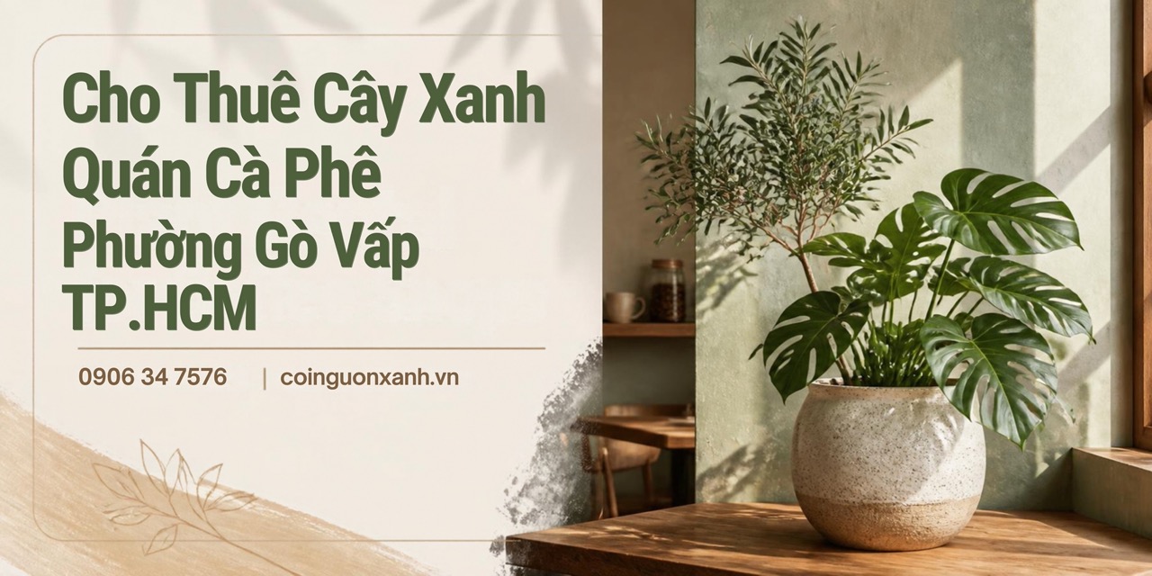 Cho Thuê Cây Xanh Quán Cà Phê Ở Phường Gò Vấp TP.HCM – Không Gian Xanh, Thu Hút Khách Hàng