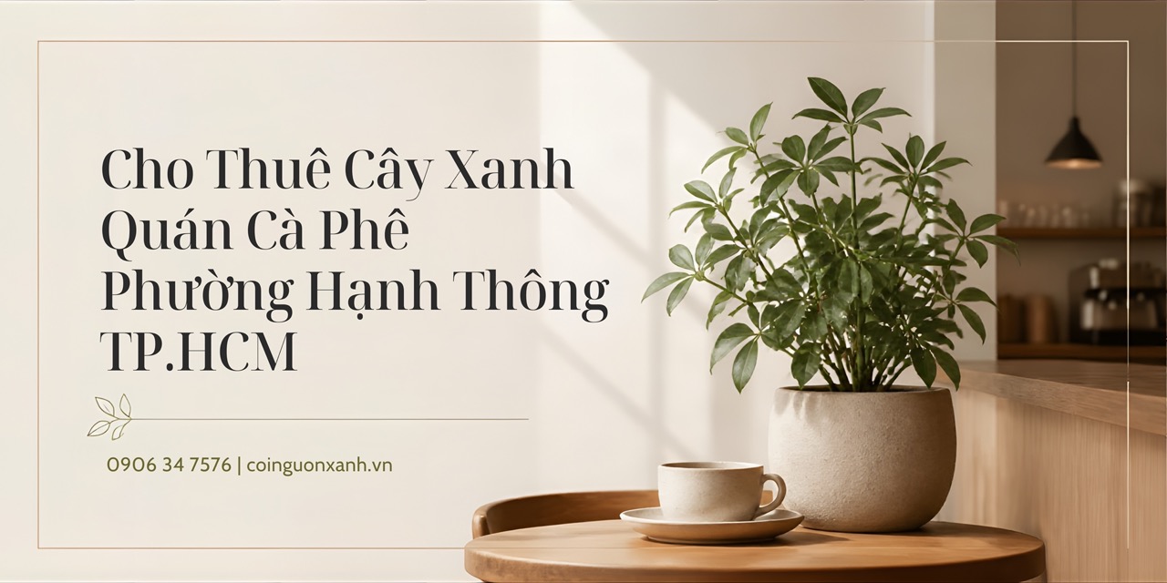 Cho Thuê Cây Xanh Quán Cà Phê Ở Phường Hạnh Thông TP.HCM