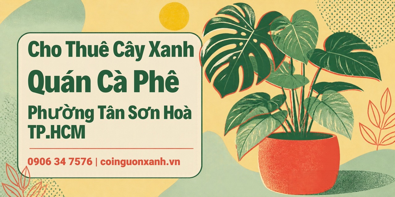 Cho Thuê Cây Xanh Quán Cà Phê Ở Phường Tân Sơn Hòa TP.HCM