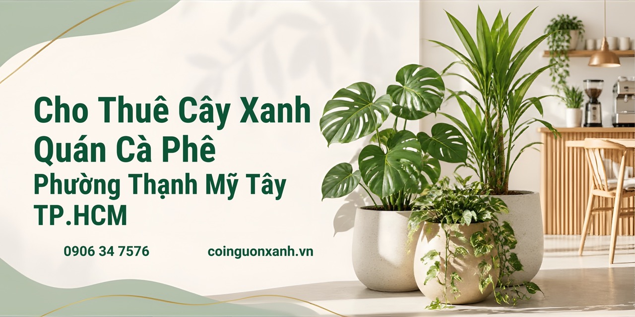 Cho Thuê Cây Xanh Quán Cà Phê Ở Phường Thạnh Mỹ Tây TP.HCM