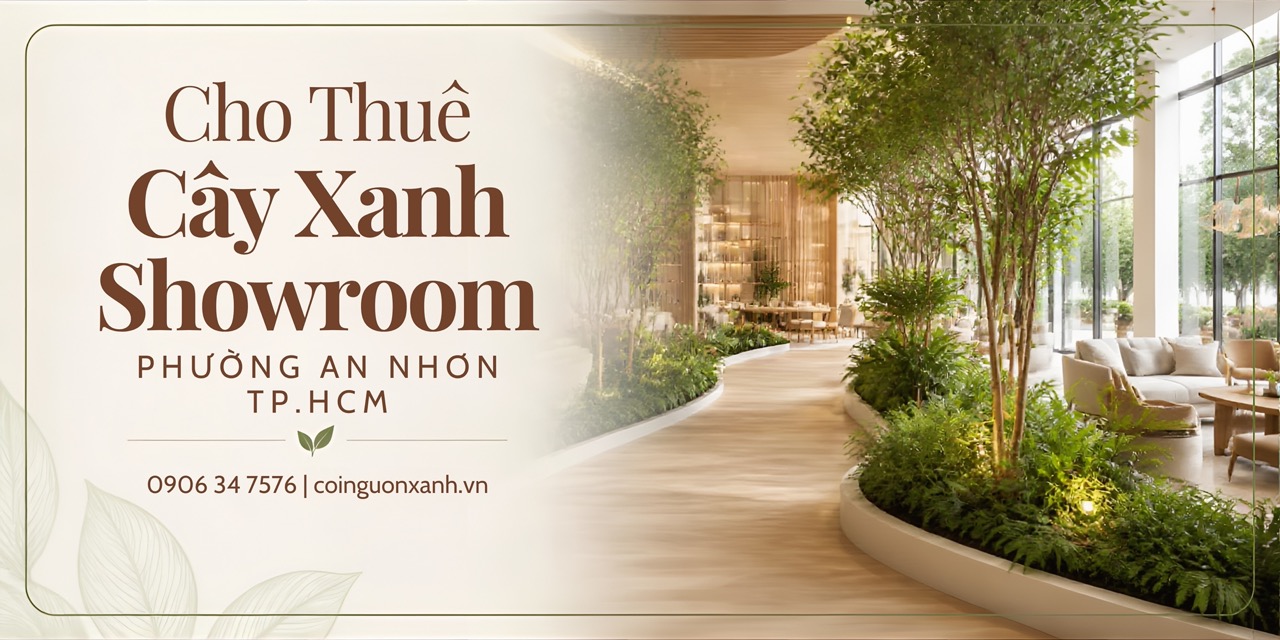 Cho Thuê Cây Xanh Showroom Ở Phường An Nhơn TP.HCM