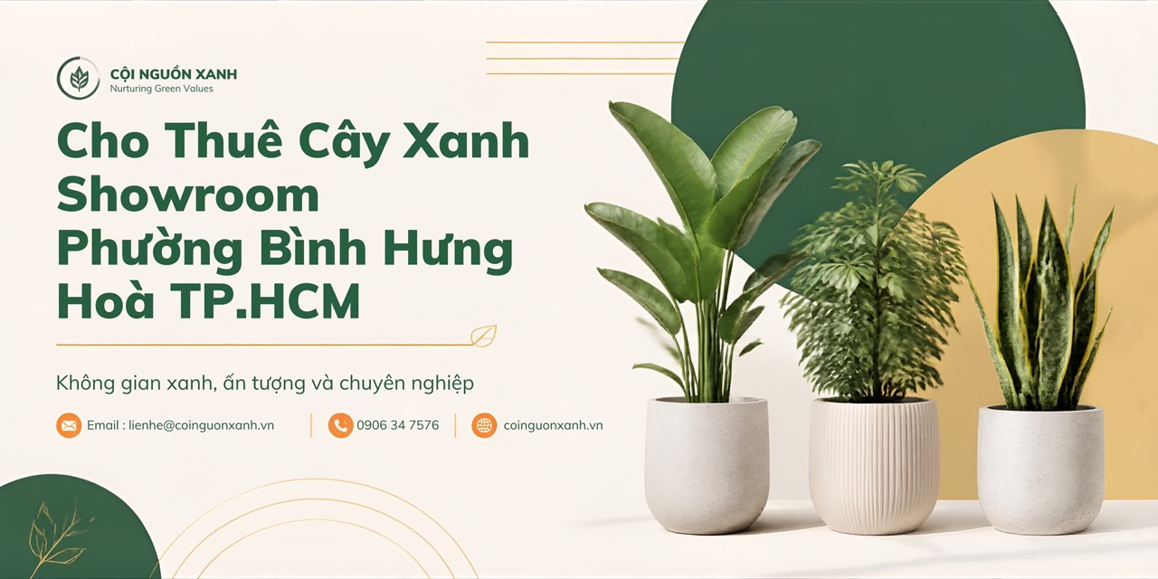 Cho thuê cây xanh showroom ở Phường Bình Hưng Hòa TP.HCM – Đẹp, chuyên nghiệp