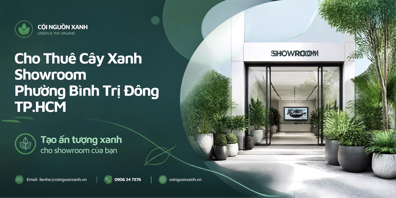 Cho Thuê Cây Xanh Showroom Ở Phường Bình Trị Đông TP.HCM