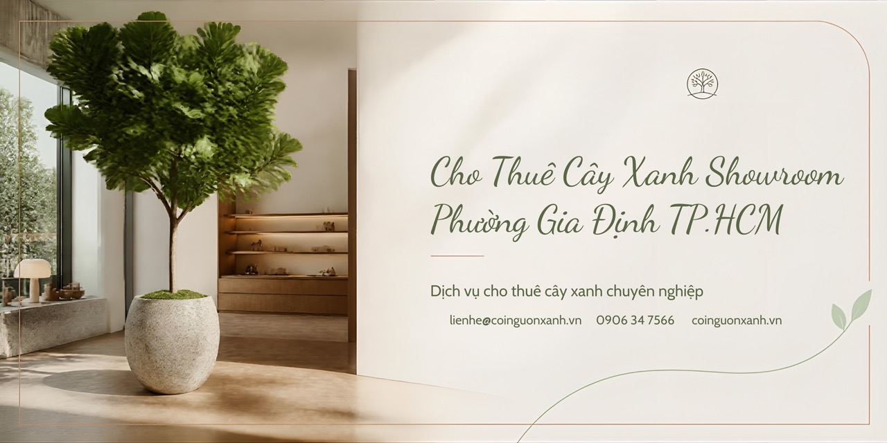 Cho thuê cây xanh showroom ở Phường Gia Định TP.HCM – Không gian đẹp, chuyên nghiệp