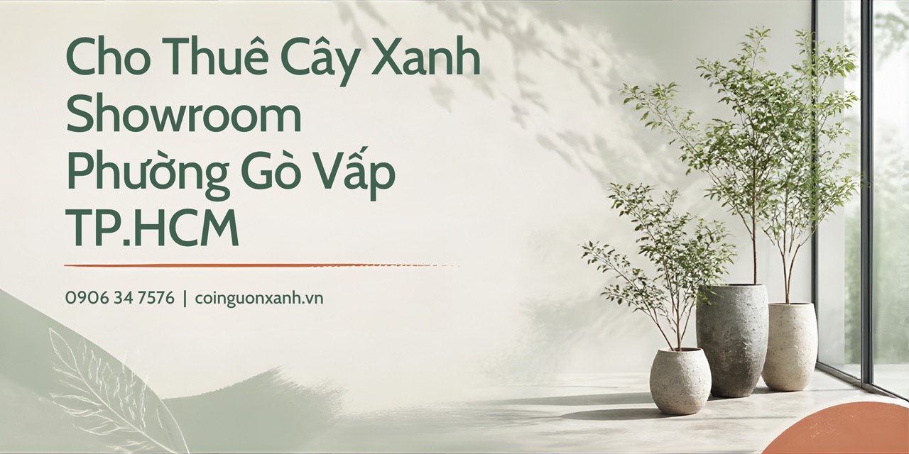 Cho Thuê Cây Xanh Showroom Ở Phường Gò Vấp TP.HCM – Không Gian Trưng Bày Xanh, Sang Trọng