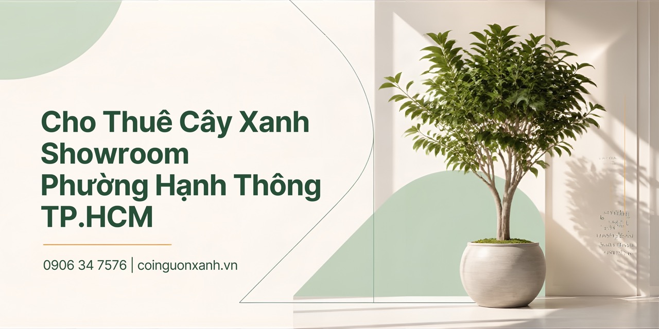 Cho Thuê Cây Xanh Showroom Ở Phường Hạnh Thông TP.HCM – Đẹp, Chuyên Nghiệp