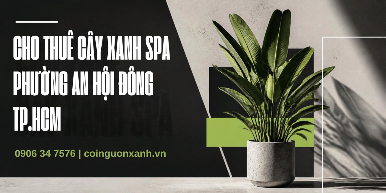 Cho Thuê Cây Xanh Spa Ở Phường An Hội Đông TP.HCM – Không Gian Thư Giãn, Sang Trọng