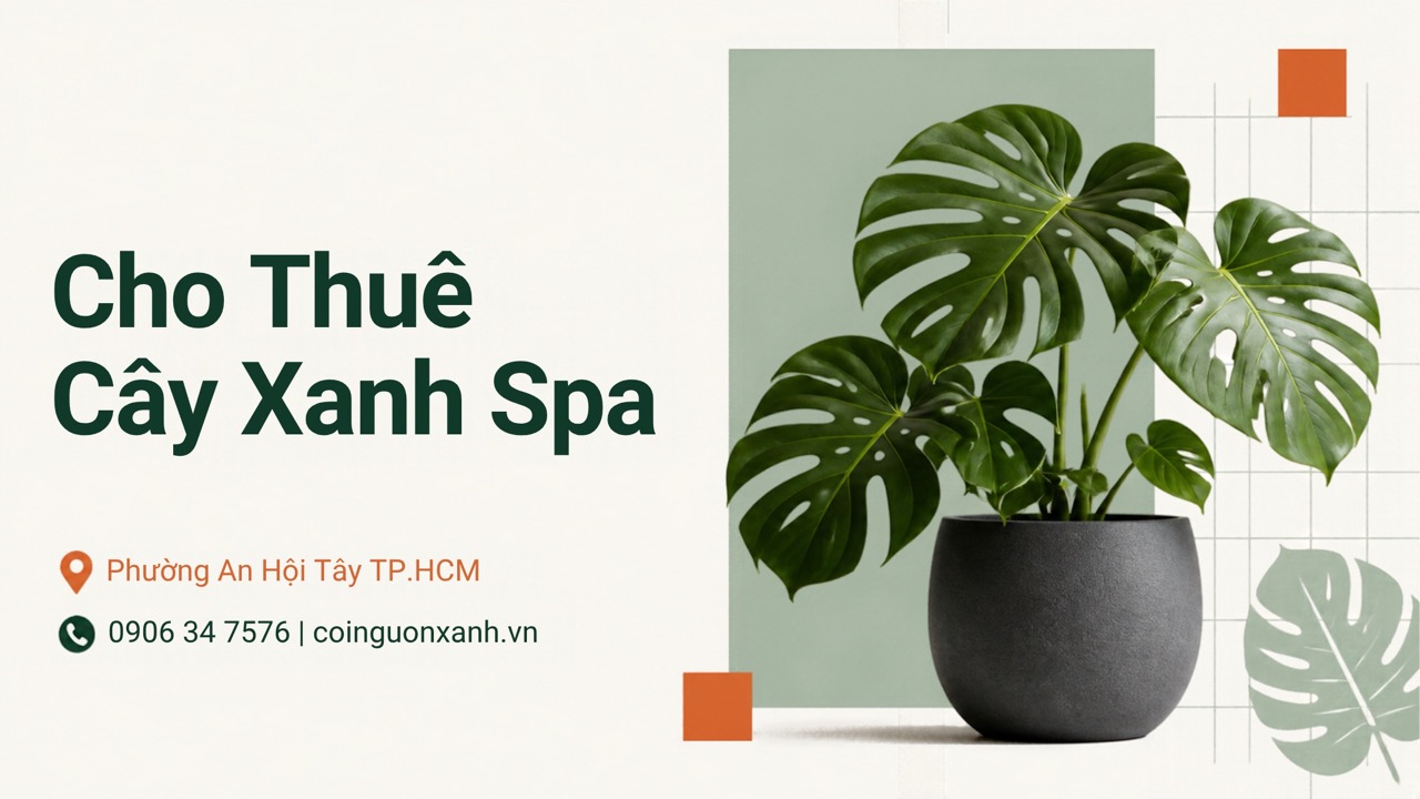 Cho Thuê Cây Xanh Spa Ở Phường An Hội Tây TP.HCM – Không Gian Thư Giãn, Sang Trọng