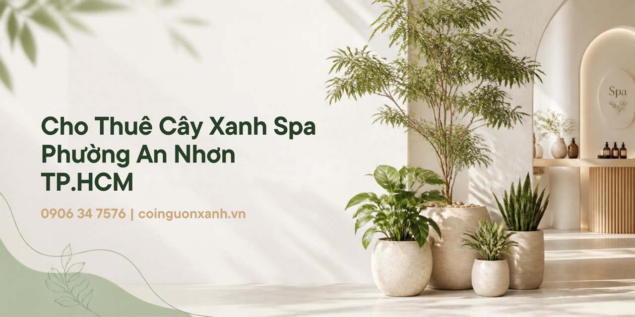Cho Thuê Cây Xanh Spa Ở Phường An Nhơn TP.HCM – Đẹp, Sang, Chuyên Nghiệp