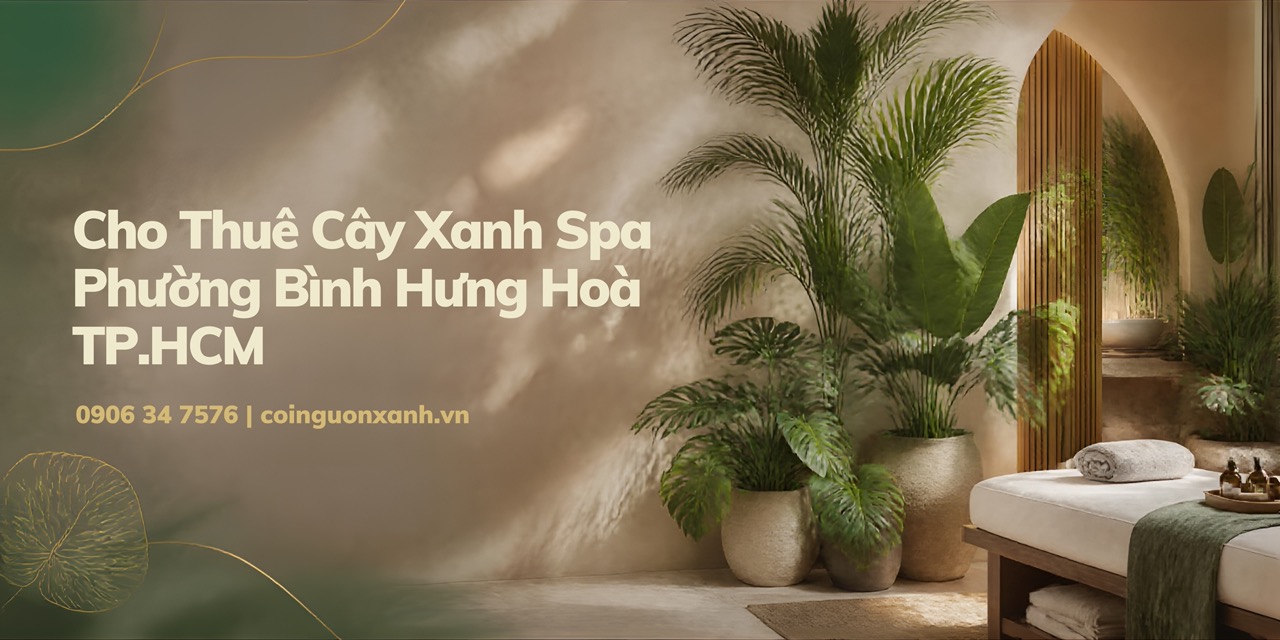Cho thuê cây xanh spa ở Phường Bình Hưng Hòa TP.HCM – Không gian thư giãn xanh