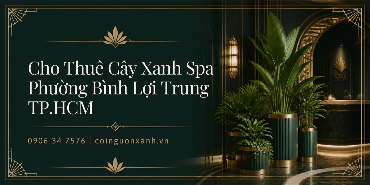 Cho thuê cây xanh spa ở Phường Bình Lợi Trung TP.HCM – Không gian thư giãn xanh mát