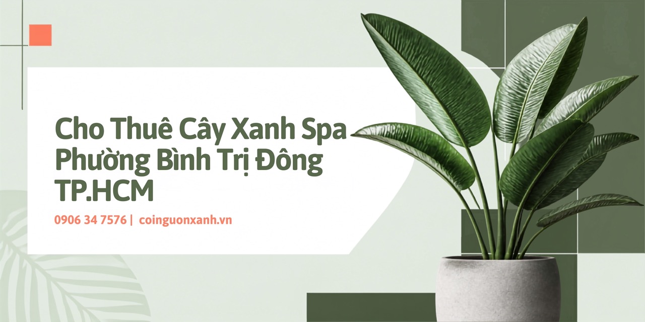 Cho Thuê Cây Xanh Spa Ở Phường Bình Trị Đông TP.HCM