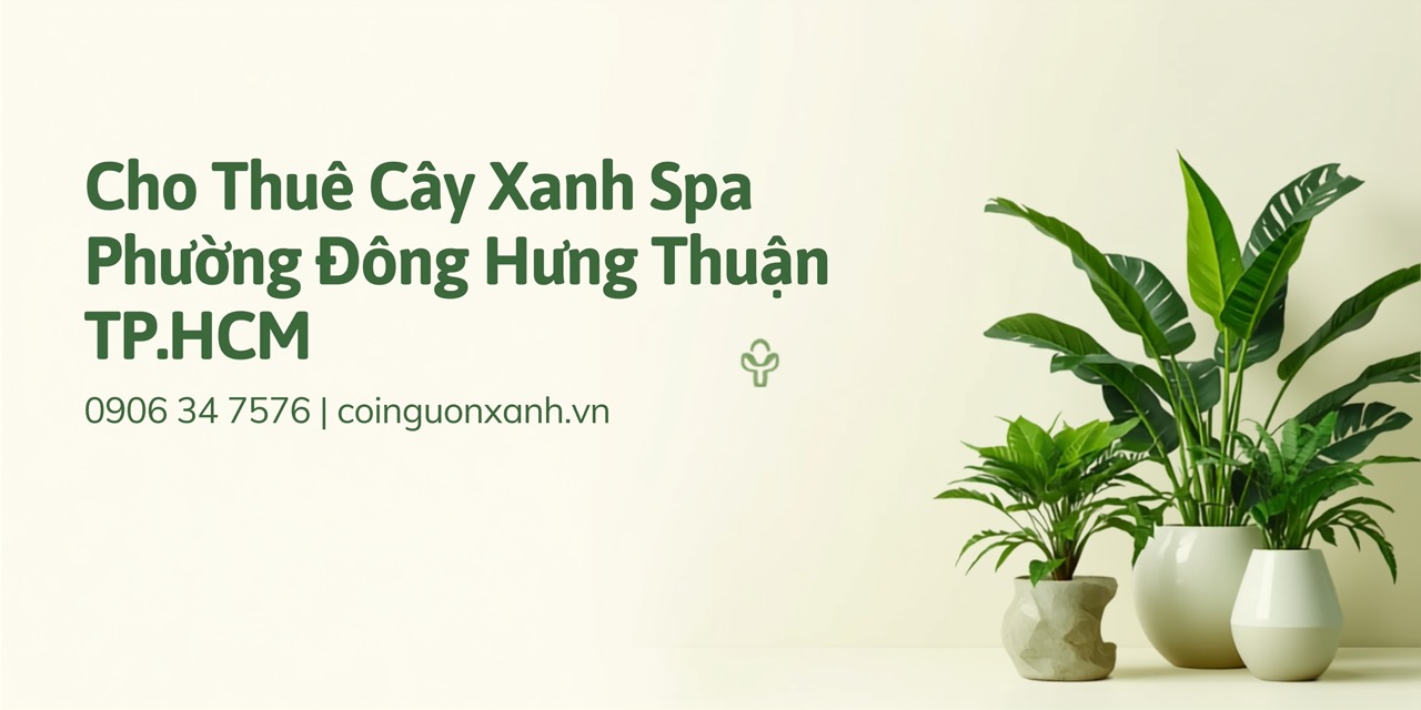 Cho thuê cây xanh spa tại Phường Đông Hưng Thuận TP.HCM – Đẹp, chuyên nghiệp