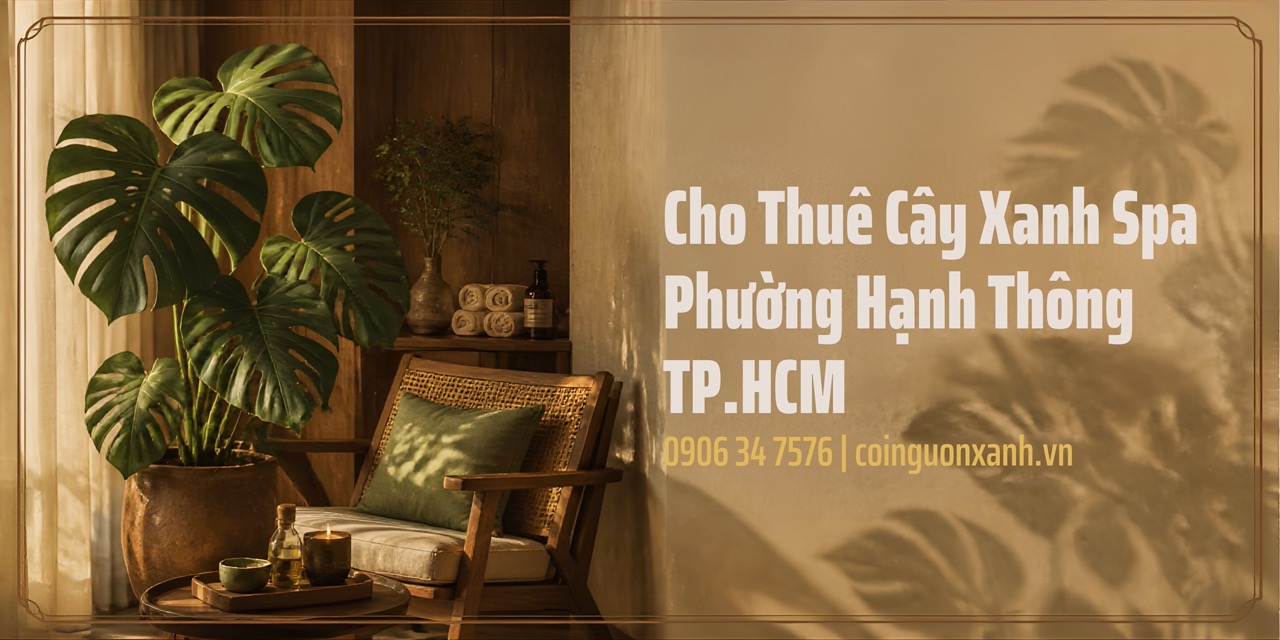 Cho thuê cây xanh spa ở Phường Hạnh Thông TP.HCM – Không gian thư giãn xanh, đẹp
