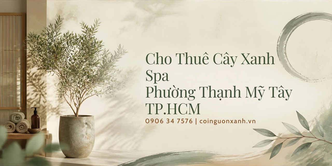 Cho thuê cây xanh spa ở Phường Thạnh Mỹ Tây TP.HCM – Đẹp, Chuyên Nghiệp