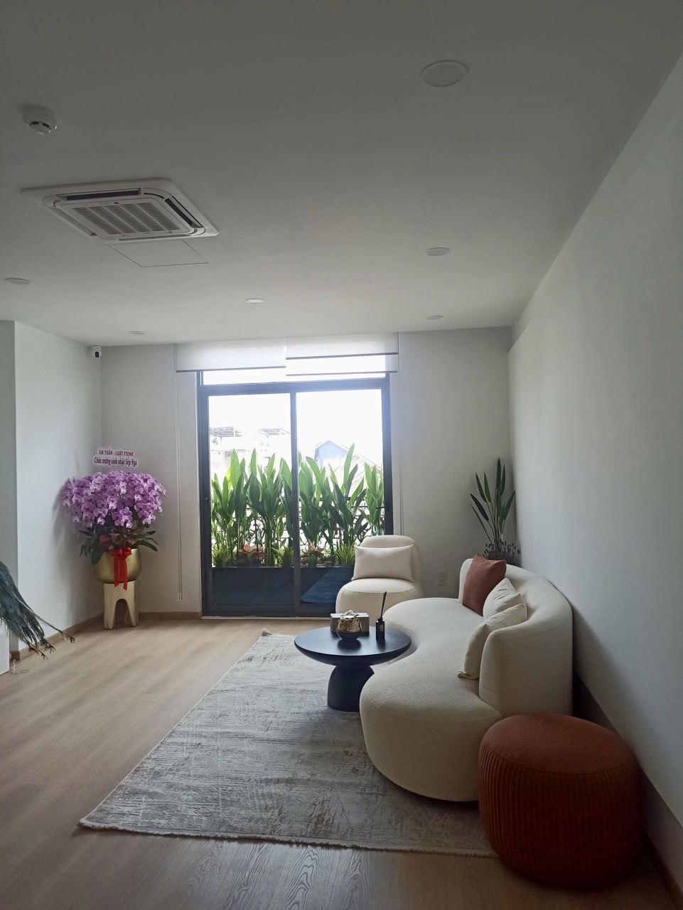 Cho thuê cây xanh văn phòng Công ty Phụng Sự Vẻ Đẹp Việt tại Phường An Khánh TP.HCM