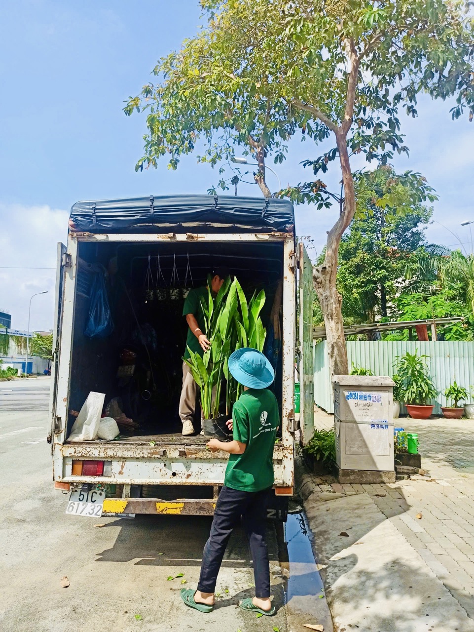 Cho thuê cây xanh văn phòng Công ty Phụng Sự Vẻ Đẹp Việt tại Phường An Khánh TP.HCM