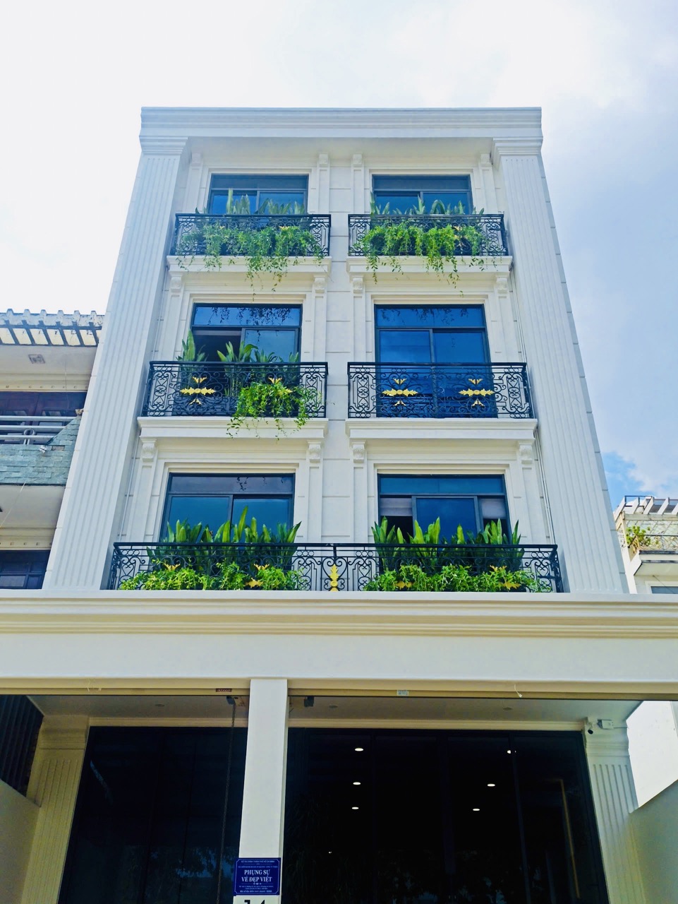 Cho thuê cây xanh văn phòng Công ty Phụng Sự Vẻ Đẹp Việt tại Phường An Khánh TP.HCM