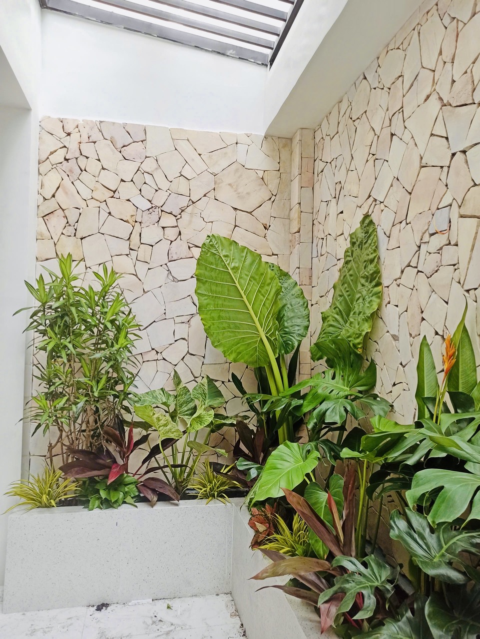 Cho thuê cây xanh văn phòng Công ty Phụng Sự Vẻ Đẹp Việt tại Phường An Khánh TP.HCM