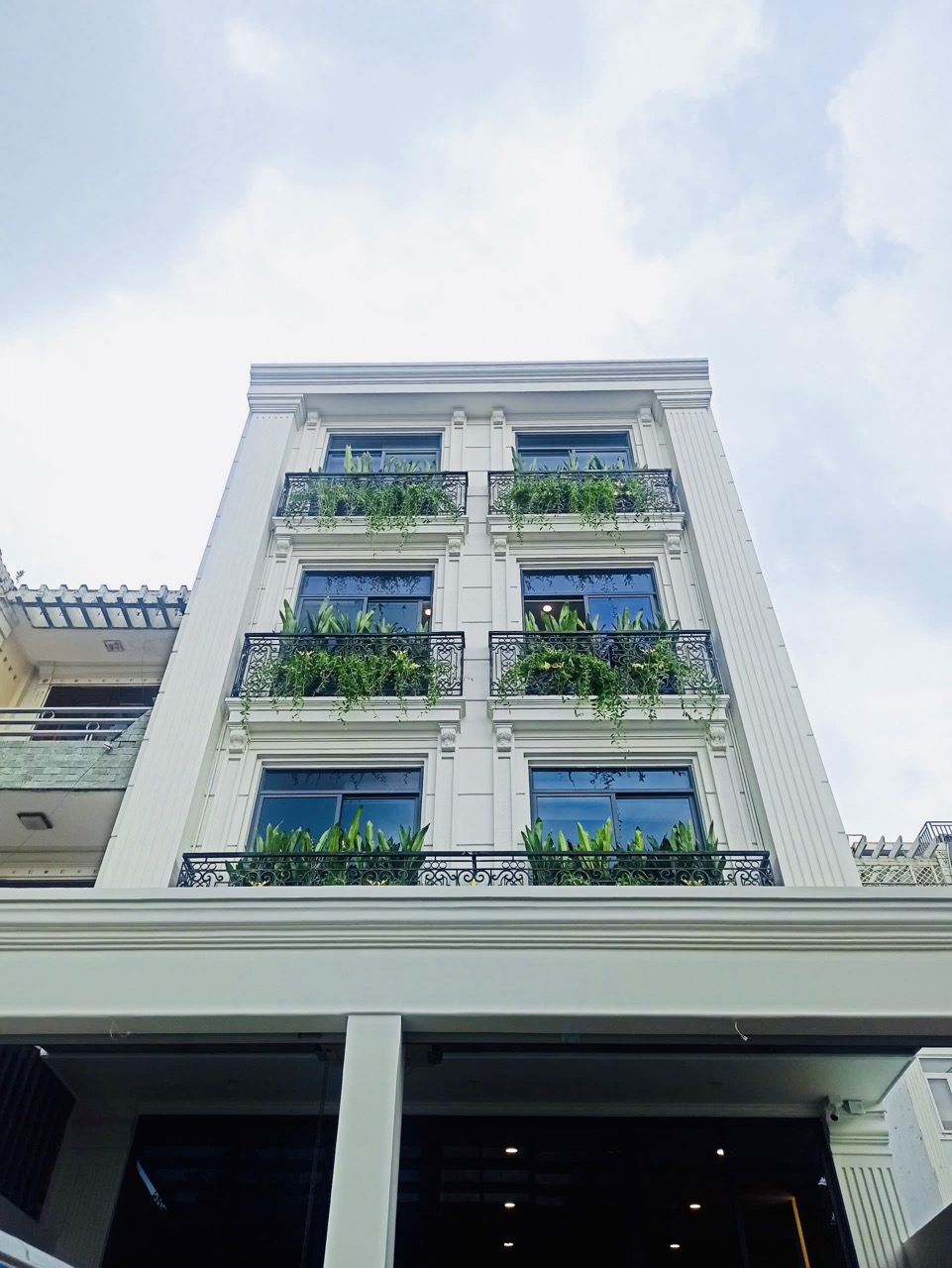 Cho thuê cây xanh văn phòng Công ty Phụng Sự Vẻ Đẹp Việt tại Phường An Khánh TP.HCM